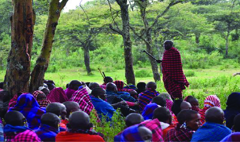 People gather under trees around a speaker