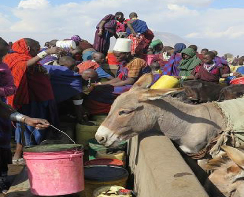 Child sharing water with animals during water shortage